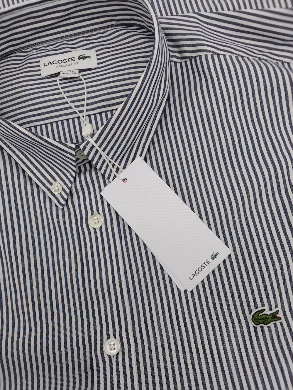 Camicia uomo Lacoste in cotone a vestibilità regolare